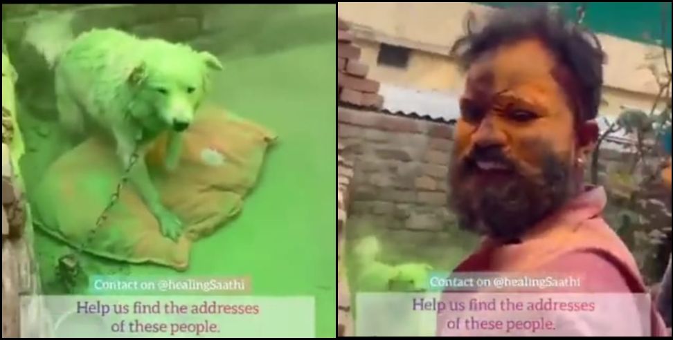 Dehradun dog viral video: shameful act with dog in dehradun video