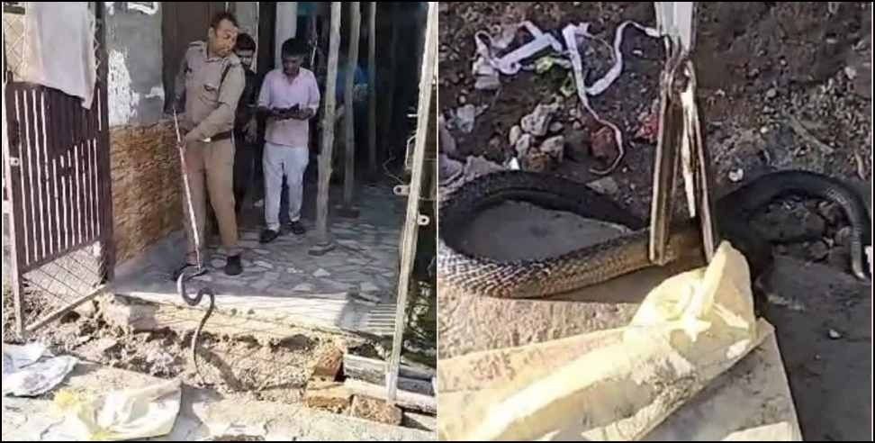 Dehradun cobra brother sister : cobra snake entered in house and bite kids in doiwala dehradun