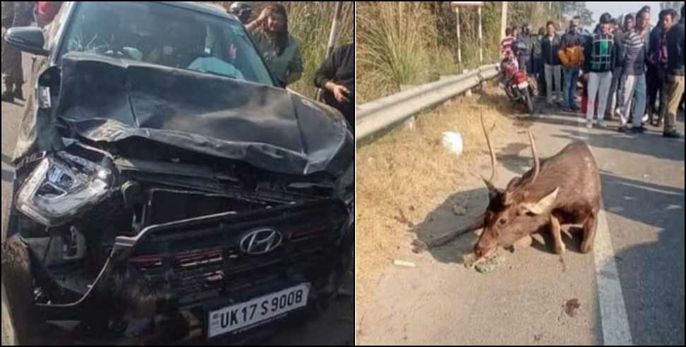 : Reindeer car collision in Uttarakhand Haridwar