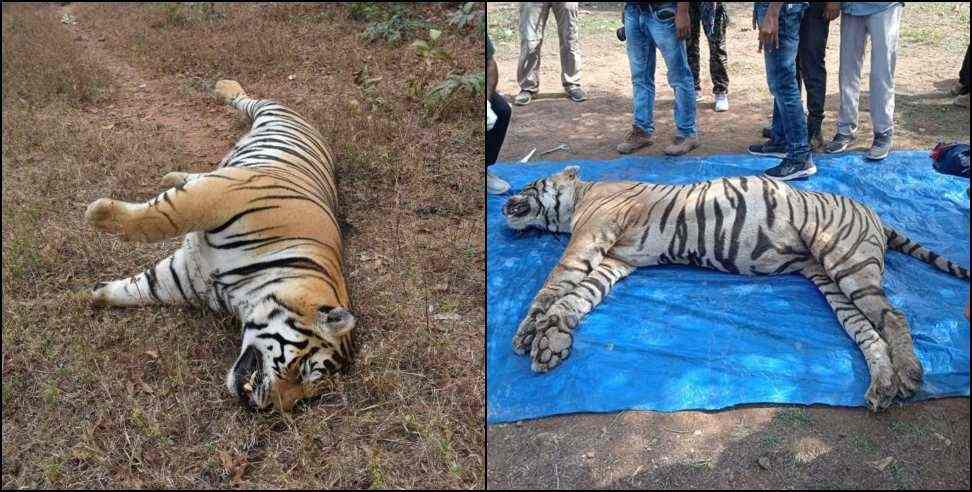 Uttarakhand Tiger Death: Alert issued after death of tigers in Uttarakhand