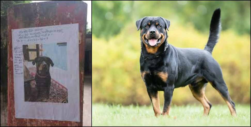 Uttarakhand BJP leader dog missing: Rudrapur councilor Sushil Kumar dog missing