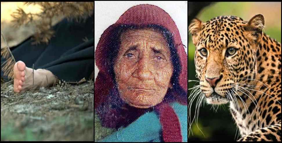 bageshwar guldar old women : Leopard attacked women in   Bageshwar Ason village