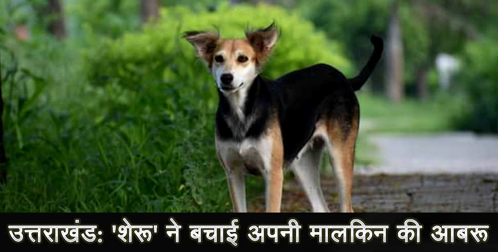 उत्तराखंड न्यूज: uttarakhand dog saved a lady