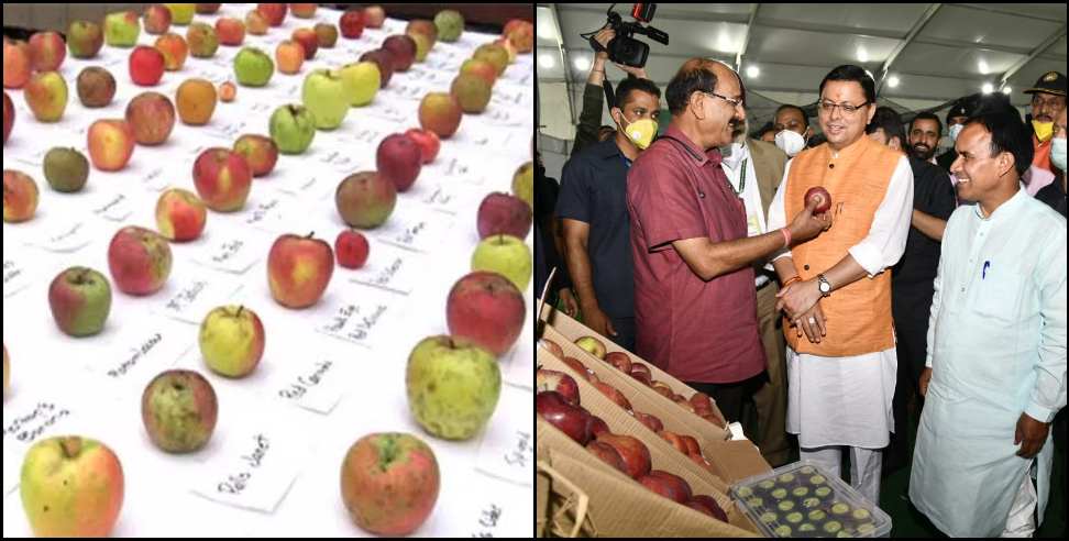 Dehradun international apple festival: International apple festival in dehradun