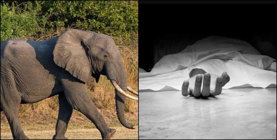 Woman dies after being attacked by elephant in Lalkuan