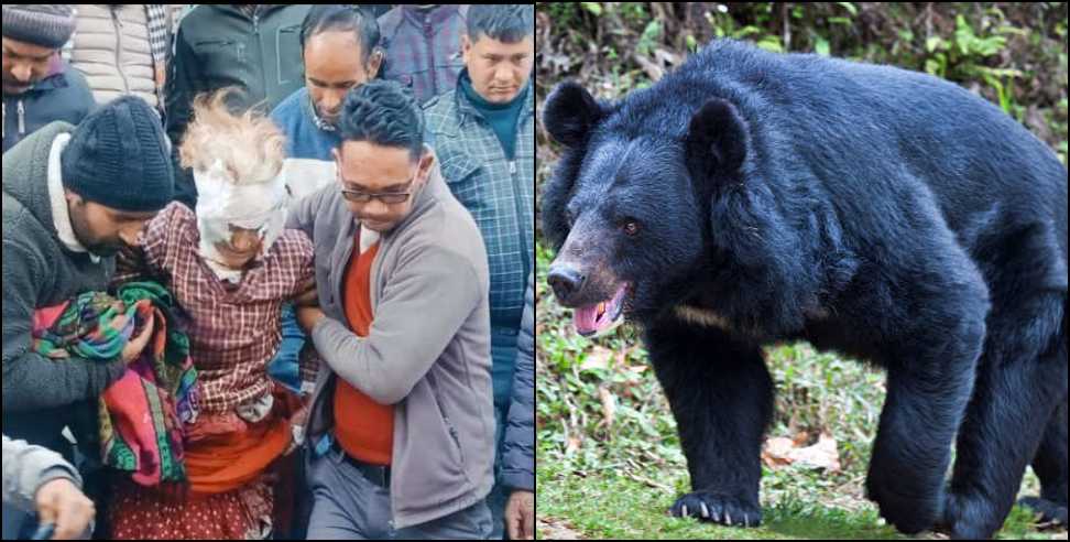 Bear attacks woman: 65-year-old woman attacked by bear in Uttarkashi