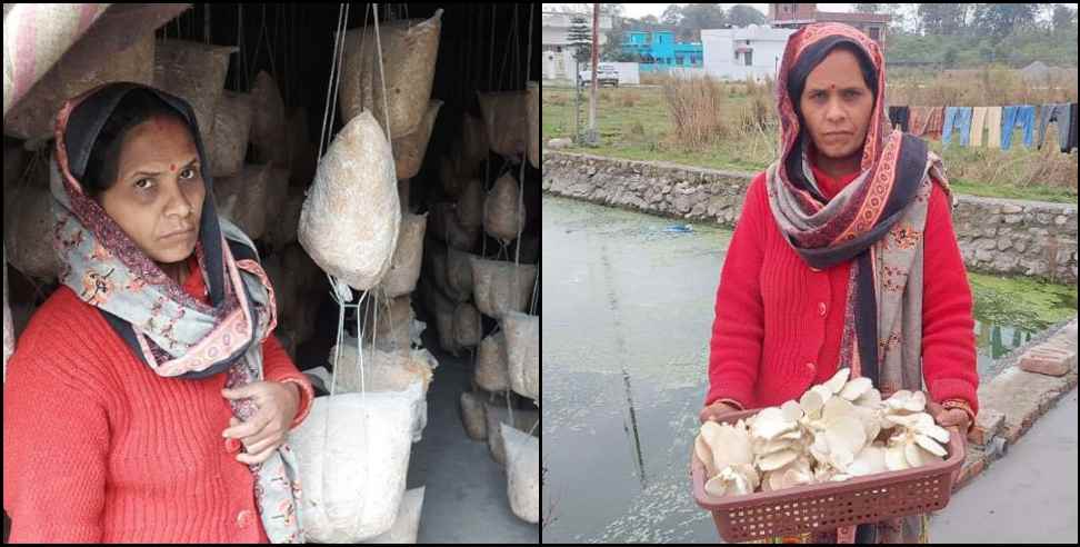 Dehradun Geeta Upadhyay Mushroom production: Geeta Upadhyay of Dehradun is earning from mushroom production