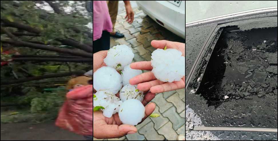 Uttarakhand Weather News: Uttarakhand Rain and Hailstorm Damage Vehicles Tree Falls