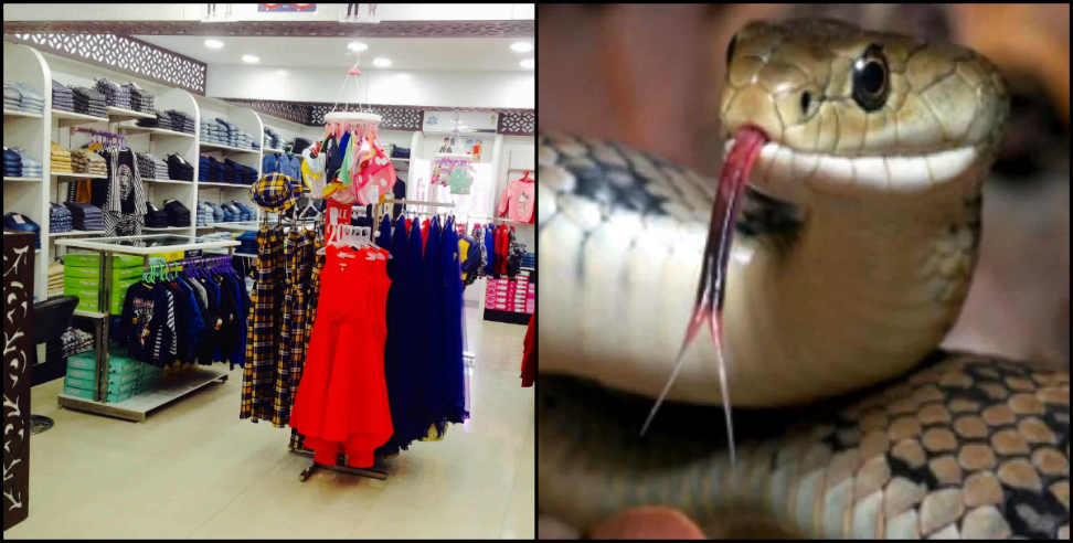Snake found: Snake found at clothes shop in Dehradun