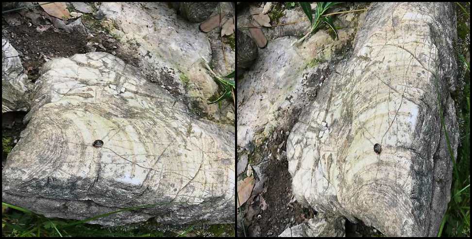 Tehri Garhwal Stromatolite Fossils: 500 million year old stromatolite fossils found in Tehri Garhwal