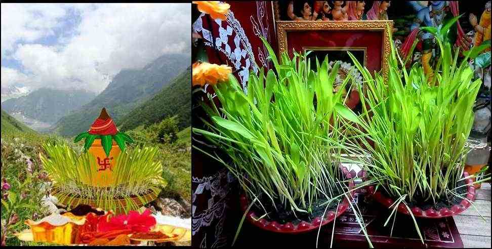 17 July Harela Holiday: Harela Holiday in Uttarakhand on 17 July