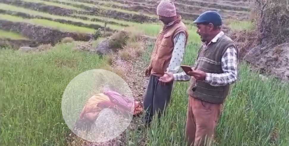 Leopard Killed Woman: Leopard dragged woman across 7 fields in Jakholi