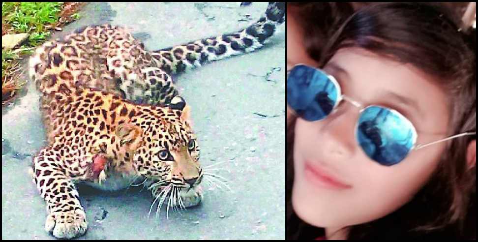 Nainital guldar: Leopard attack 16 year girl in bailparao nainital