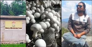 image: Shubham From Kashipur is Cultivating Mushrooms