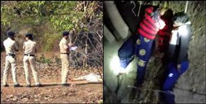 image: Two dead bodies of trees found in Haridwar