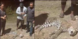 image: Ramandeep Kaur saved leopard in Dehradun Premnagar