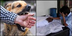 image: People killed Mad Dog in Haridwar Birla Ghat