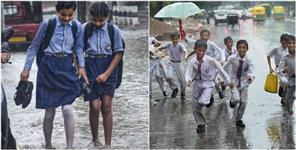 image: Holiday Declared in 7 Districts Due to Heavy Rains