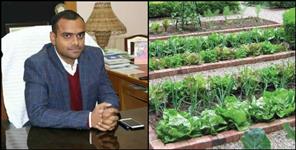 image: Kitchen gardens to be built in government schools in Uttarkashi