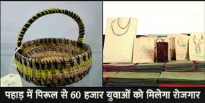 image: uttarakhand pirul employment