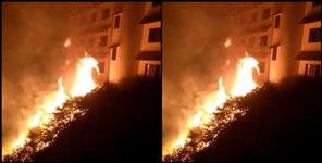 image: Almora forest fire