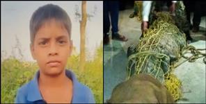 image: Crocodile attacked child in Khatima Sunpahar village