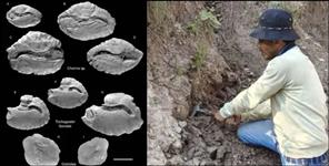 image: Dehradun fossil discovery  Mohand fossils Uttarakhand  Pliocene fish fossils Ind