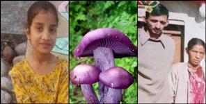 image: die due to eating wild mushroom in Tehri Garhwal