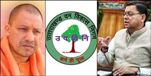 image: Forest Corporation fills wrong Income Tax of 100 Crore