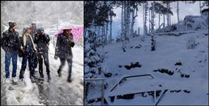 image: Latest Snowfall In Auli Chamoli