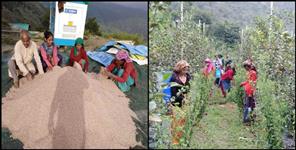 image: Uttarkashi farmer Bharat Singh Rana