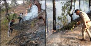 image: 3 minors were preparing to burn the forest in Bageshwar