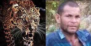 image: Leopard killed youth in pithoragarh