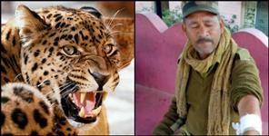 image: Leopard attacked security guard