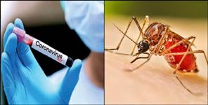 41 corona and 90 dengue cases in Dehradun