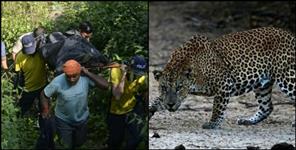 image: Leopard killed woman on her daughter birthday in pauri