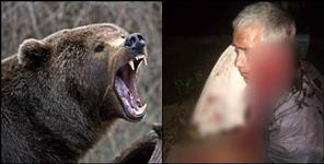 image: Bear attack in Chakisain of Pauri Garhwal