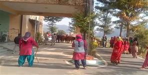 image: Women Reached SDM office With Abandoned Animals