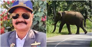 image: Elephant Attacked Former Soldier While Taking Morning Walk in Doiwala