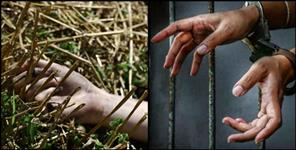 image: Life imprisonment for husband and his friend for killing the wife