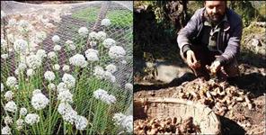 image: Success Story of Lokesh Agro Nainital