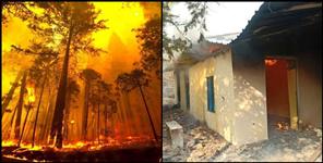 image: Fierce fire in the forests of Gangolihat development block