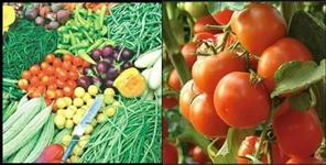 image: today vegetable rate list in dehradun 2 august