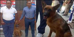 image: uttarakhand police sniffer dog katy solved case in 30 seconds