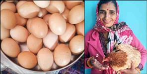 image: Hen laid 31 eggs in a single day in Almora Uttarakhand
