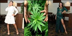 image: uttarakhand hemp fibers designer clothes
