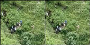 image: Chamoli Car fell into the abyss