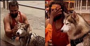 image: Ganga bath and worship photo with dog in Haridwar goes viral
