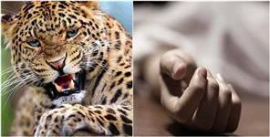image: Leopard Killed A 9 Years Old Girl in Tehri
