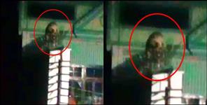 image: Leopard on the roof of the house in Haridwar